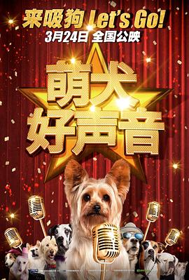 91不卡视频