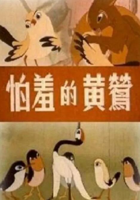 www视频
