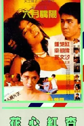 伦理一级片